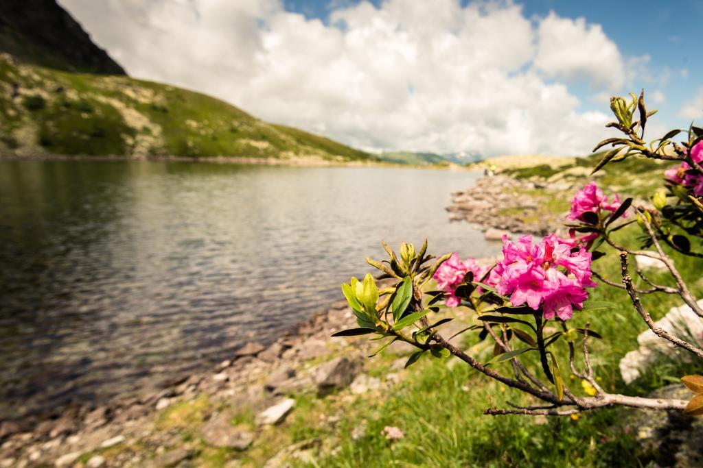 Apartment Appartementhaus Gastein Inklusive Alpentherme Gratis