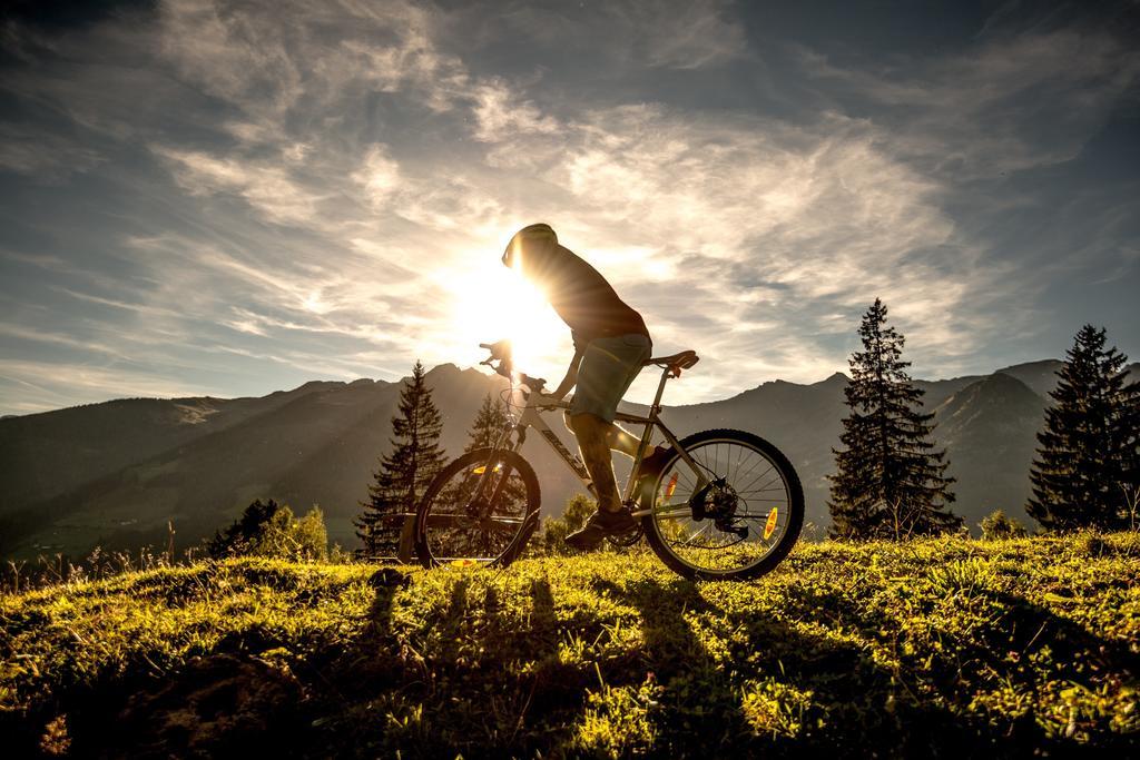 Apartment Appartementhaus Gastein Inklusive Alpentherme Gratis