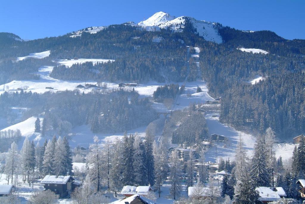Appartementhaus Gastein Inklusive Alpentherme Gratis Bad Hofgastein